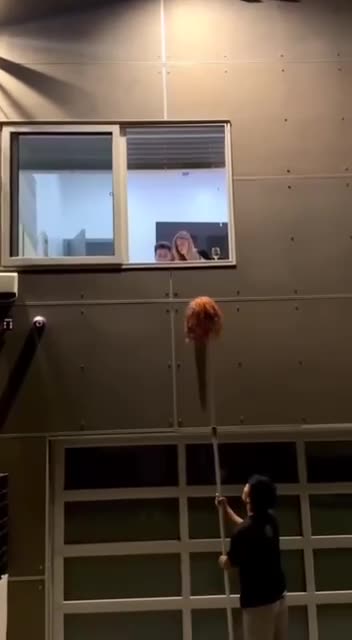 Pov: I am getting to know my neighbors 😁