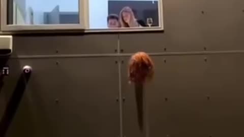 Pov: I am getting to know my neighbors 😁