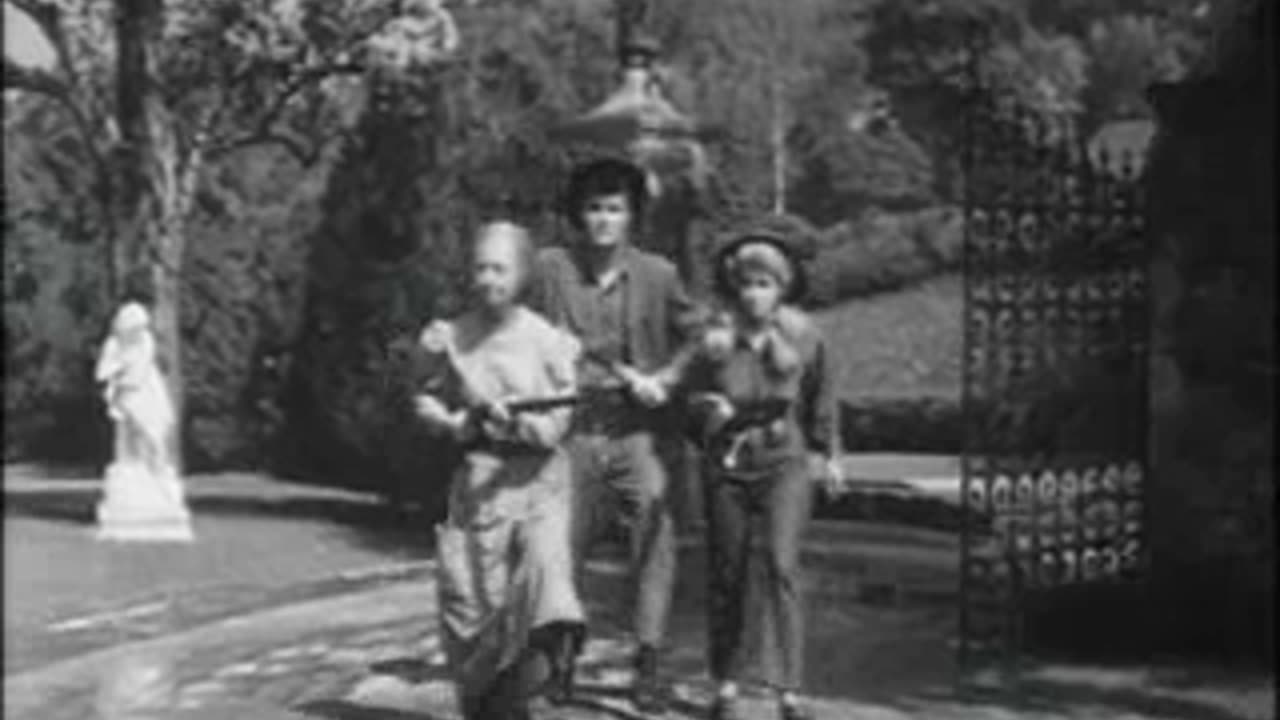 The Beverly Hillbillies (Situation Comedy 1962, 24:53)