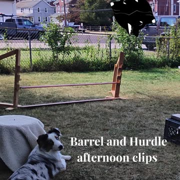 Circuit Training afternoon short 4