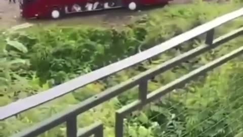 wonders of the world