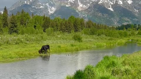 Beauty of Nature