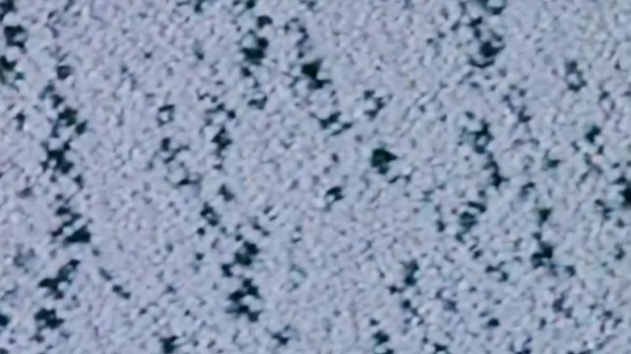 WAV - Old Radio Humor