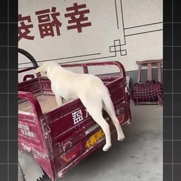 Funny Video #1 - KTM Ads Agency - accountforrent.com