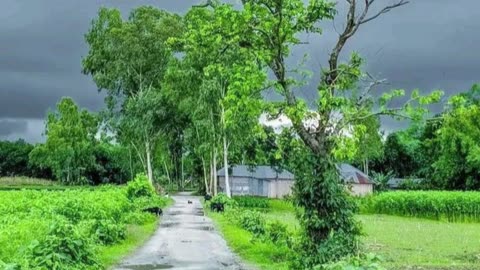 In the Mood, In the Vibe