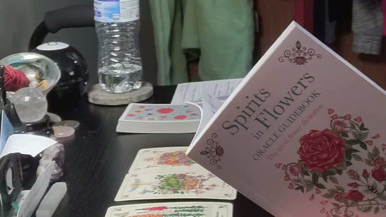 What does the Spirits in Flowers Oracle have for you today?