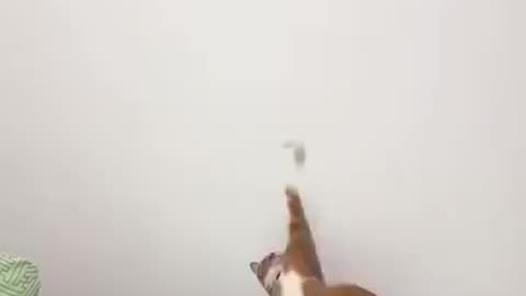 Orange knows how to hummiliate human race, he didnt even trying lol