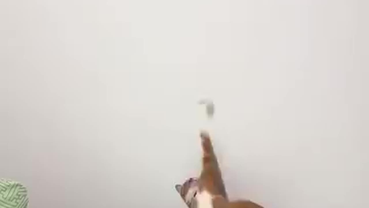 Orange knows how to hummiliate human race, he didnt even trying lol