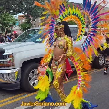 BEAUTIFUL 58th Annual New York Carnival Parade.
