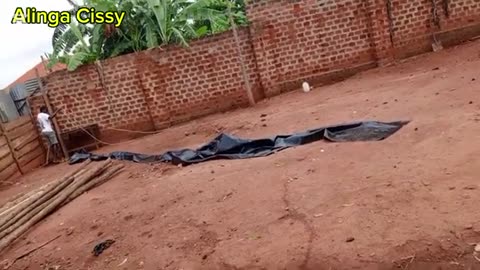How to Construct a Poultry House | New Poultry Project Begins
