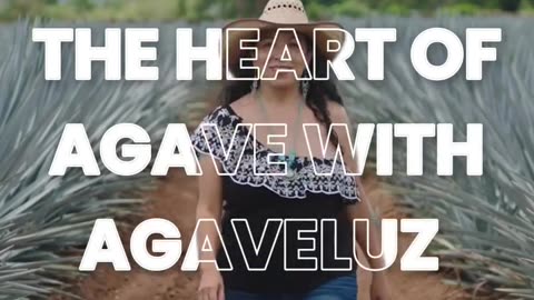 Organic Tequila Is a Stimulant – Choose The Best Organic Tequila From AgaveLuz