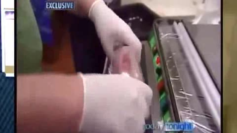 O que você não sabe sobre o SISTEMA ALIMENTÍCIO É MAIS do que uma máfia da CARNE PODRE!