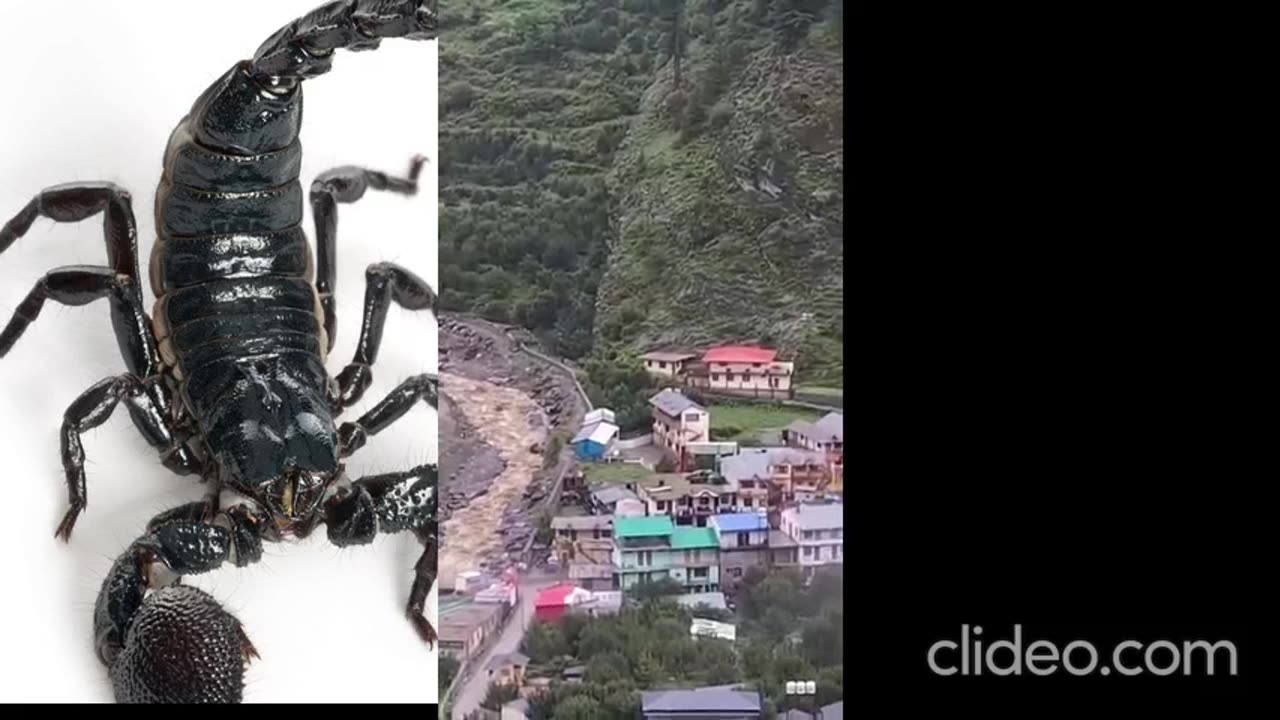 Natures havoc seen in this place..in hindi