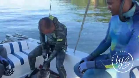 Tiffany Silver FREE DIVING & SPEARFISHING IN TRINIDAD DAY 1