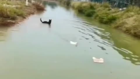 Hey Catch Me if you can