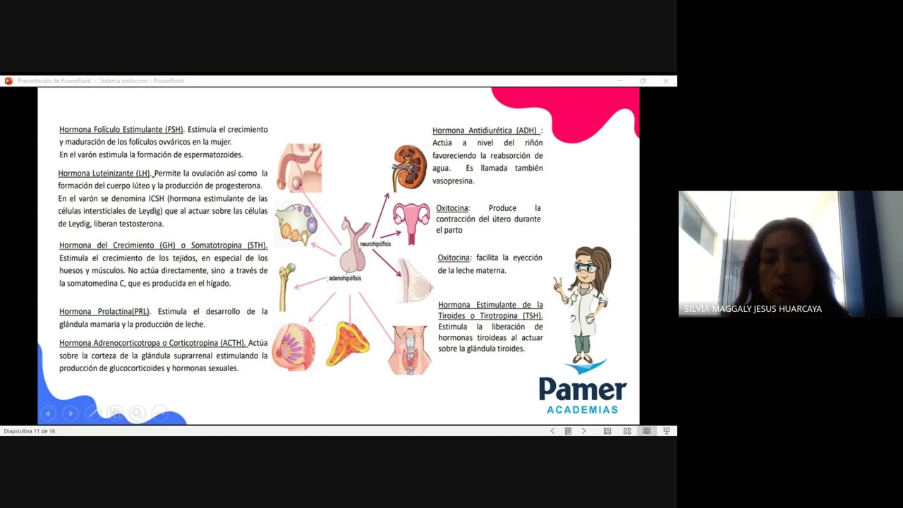 PAMER SEMESTRAL 2023 | Seminario | Biología
