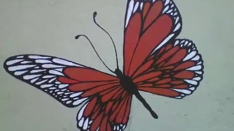 Beautiful red, white and black butterfly drawn on the wall of the flower shop [Nature & Animals]