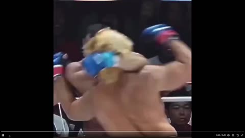 This was legal then: Two MMA fighters that just beat the hell out of eachother