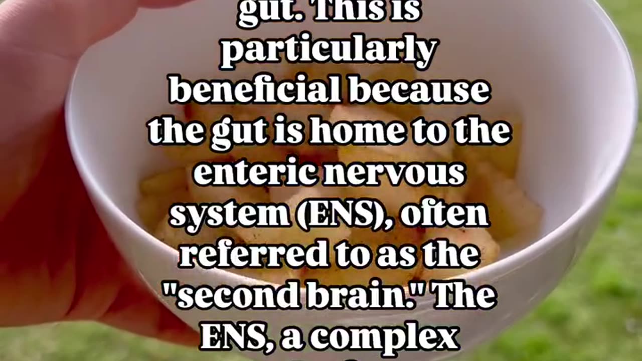 Did you know that your gut has its own system called the enteric nervous system (ENS)?