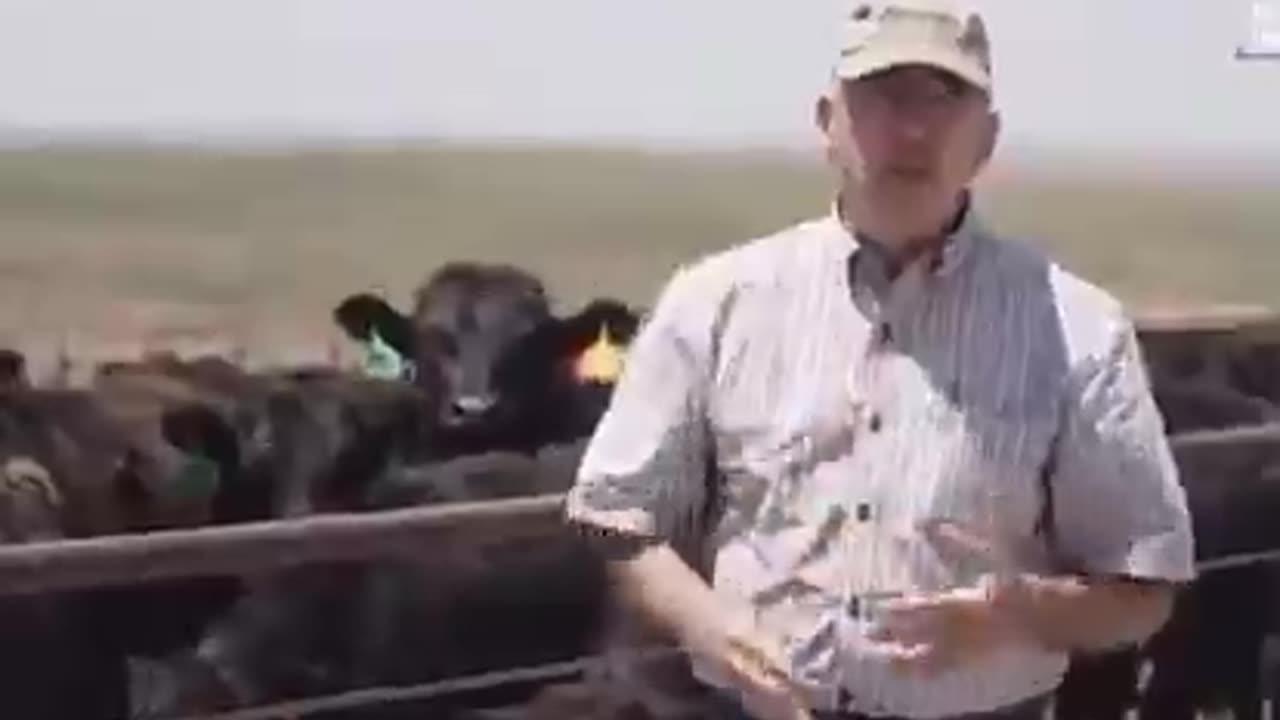 Brazilian meat packer JBS has been steadily taking over the American meat