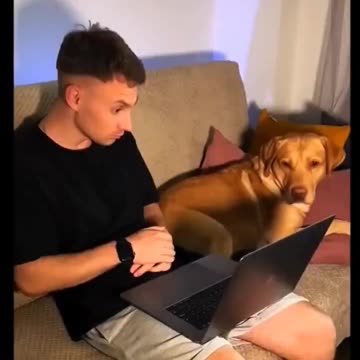 Bro hit the Uno Reverse 💀