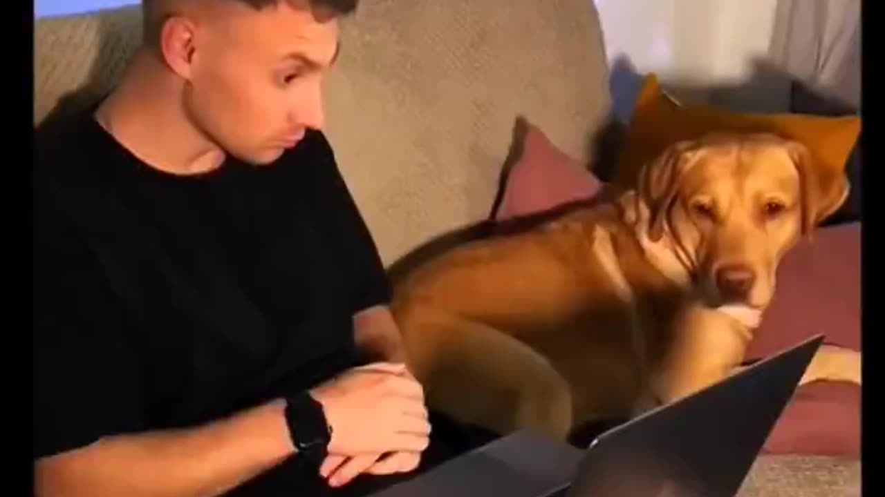 Bro hit the Uno Reverse 💀