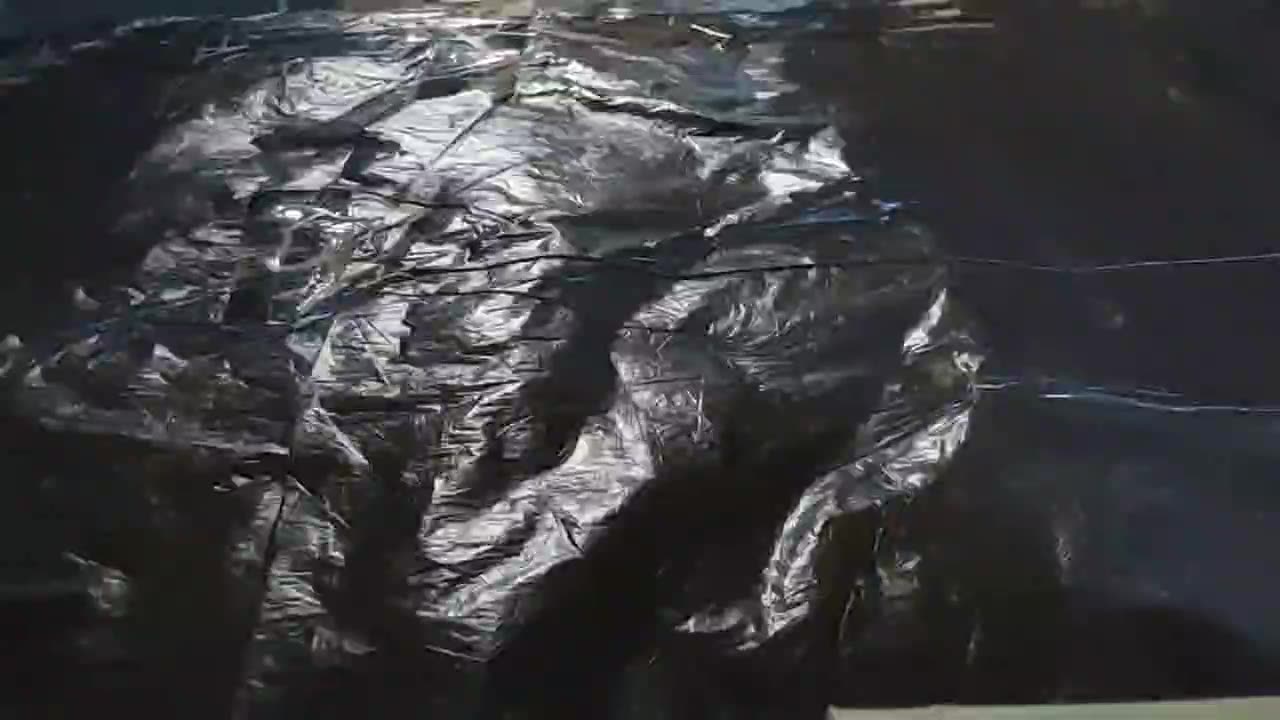 15th February 2025, DWG Devotional Daily