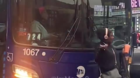 Diversity in NYC