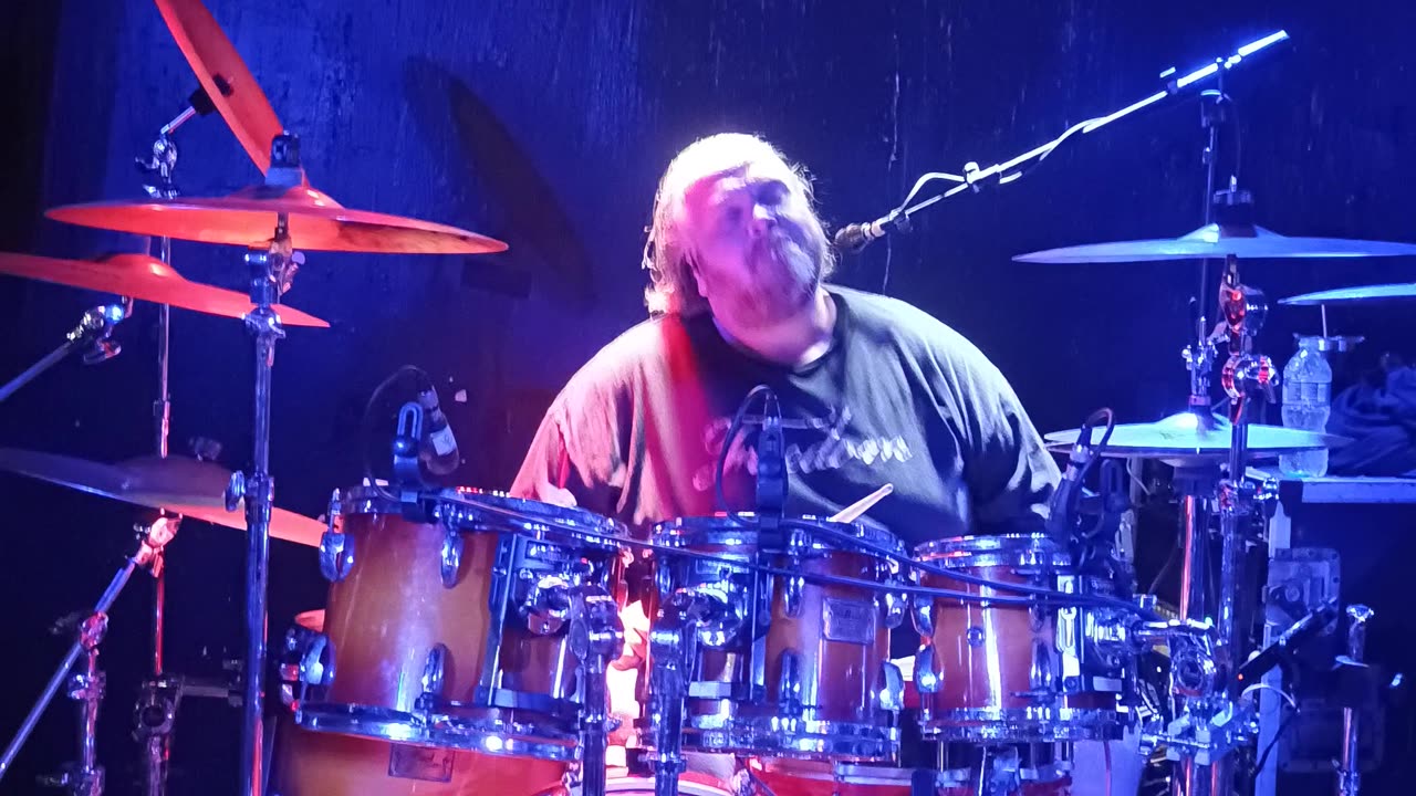 Hypersona green parrot