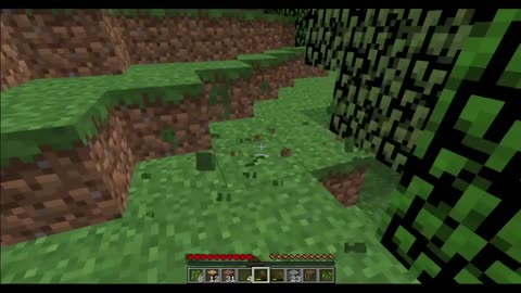 Minecraft Witch Problem