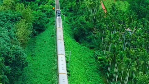 Train Nature Scenery.