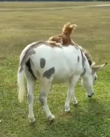 Got the high and the low covered