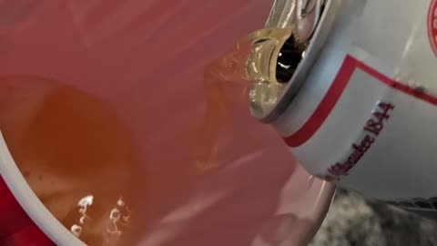 Pabst Blue Ribbon (PBR) + Clamato Drink #beer #clamato #tomatojuice #drinks #drinkreview