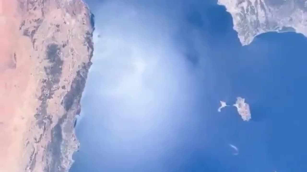 That time NASA Streamed a Fly buzzing around in the vaccum of Space, live from the ISS