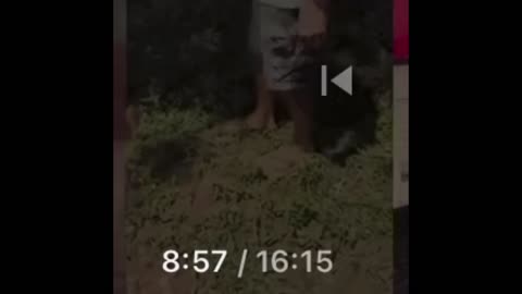 Yay