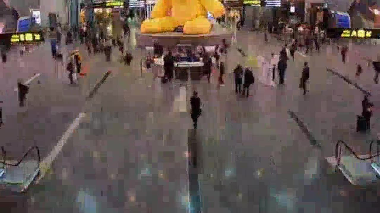 Exploring Essential Military Aviation Experiences