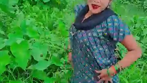 A Raja humre pajerwa