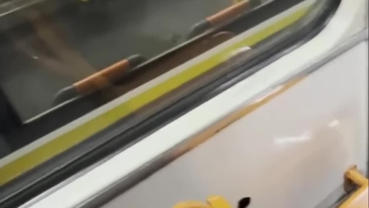 Dezastru în tramvai! Mizerie și neglijență