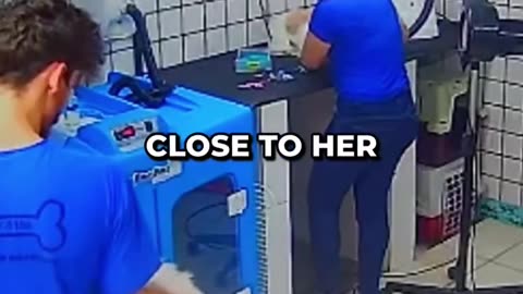 The Dog Apologized For His Mistake And It's So Beautiful! ❤️
