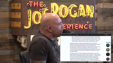 Joe Rogan Experience #2317 - Cody Tucker
