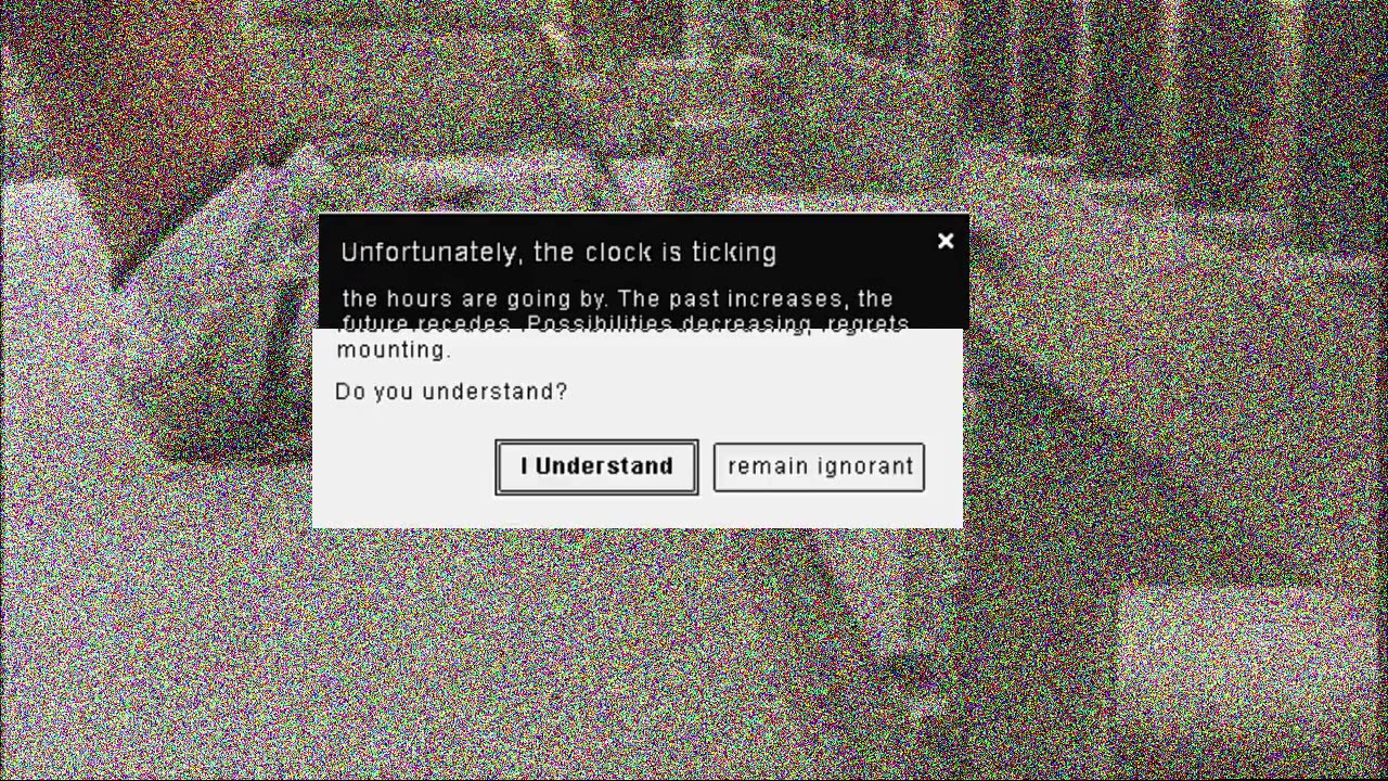 Inside4walls Bumper- Do you understand, Anon?