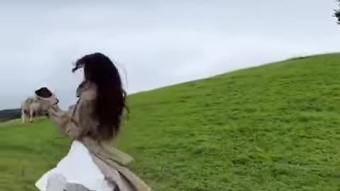 Cows Love Jazz