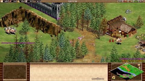 Age Of Empires 2 (Original) - Genghis Khan | Pax Mongolica Gameplay & Strategy