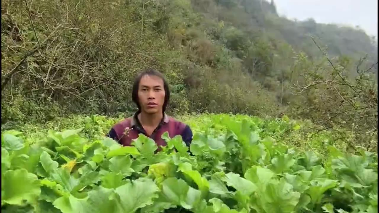 Satisfying nature