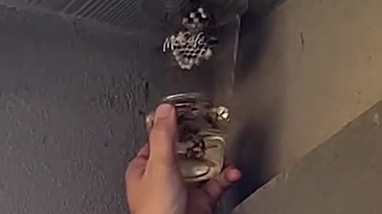 Taking Down a Wasp Nest Like a Pro