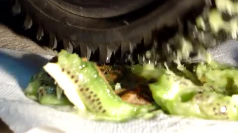 Bike Tire Crushe Kiwi