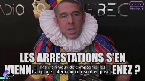 LES 2 AILES DU PERROQUET