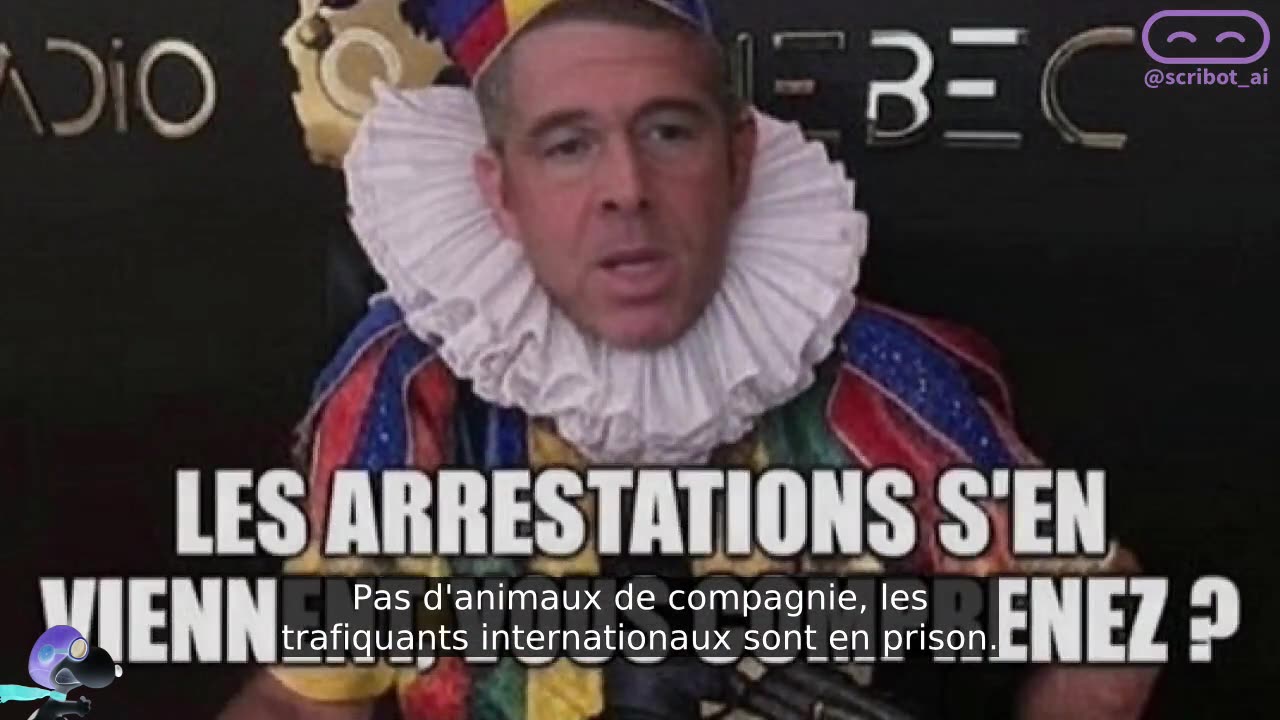 LES 2 AILES DU PERROQUET
