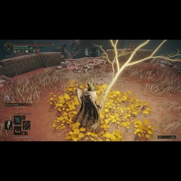 Elden Ring PC | Golden Seed location from Sellia Under-Stair site of grace #shorts #eldenring