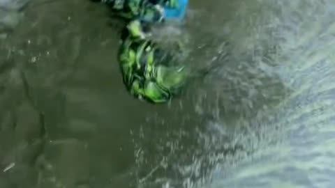 Hydro dipping shoe